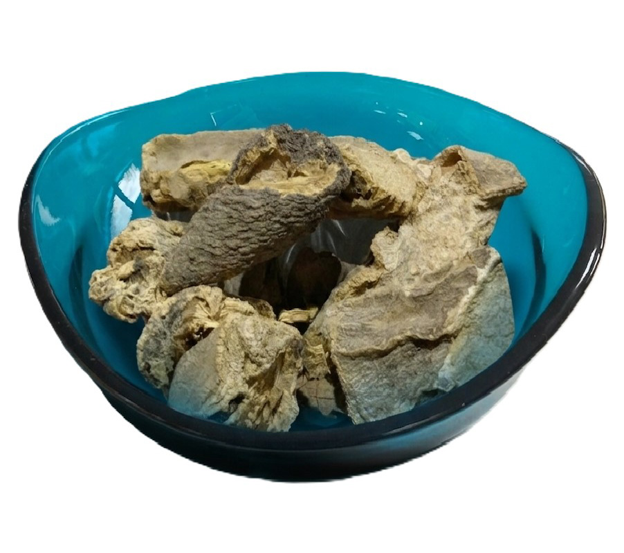 Costus Roots (White)
