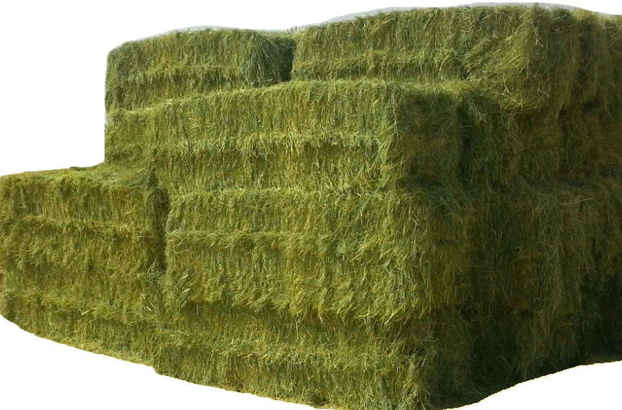 Product 8
