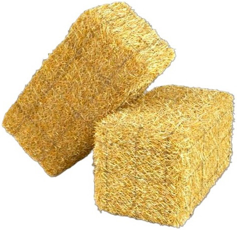 Product 7